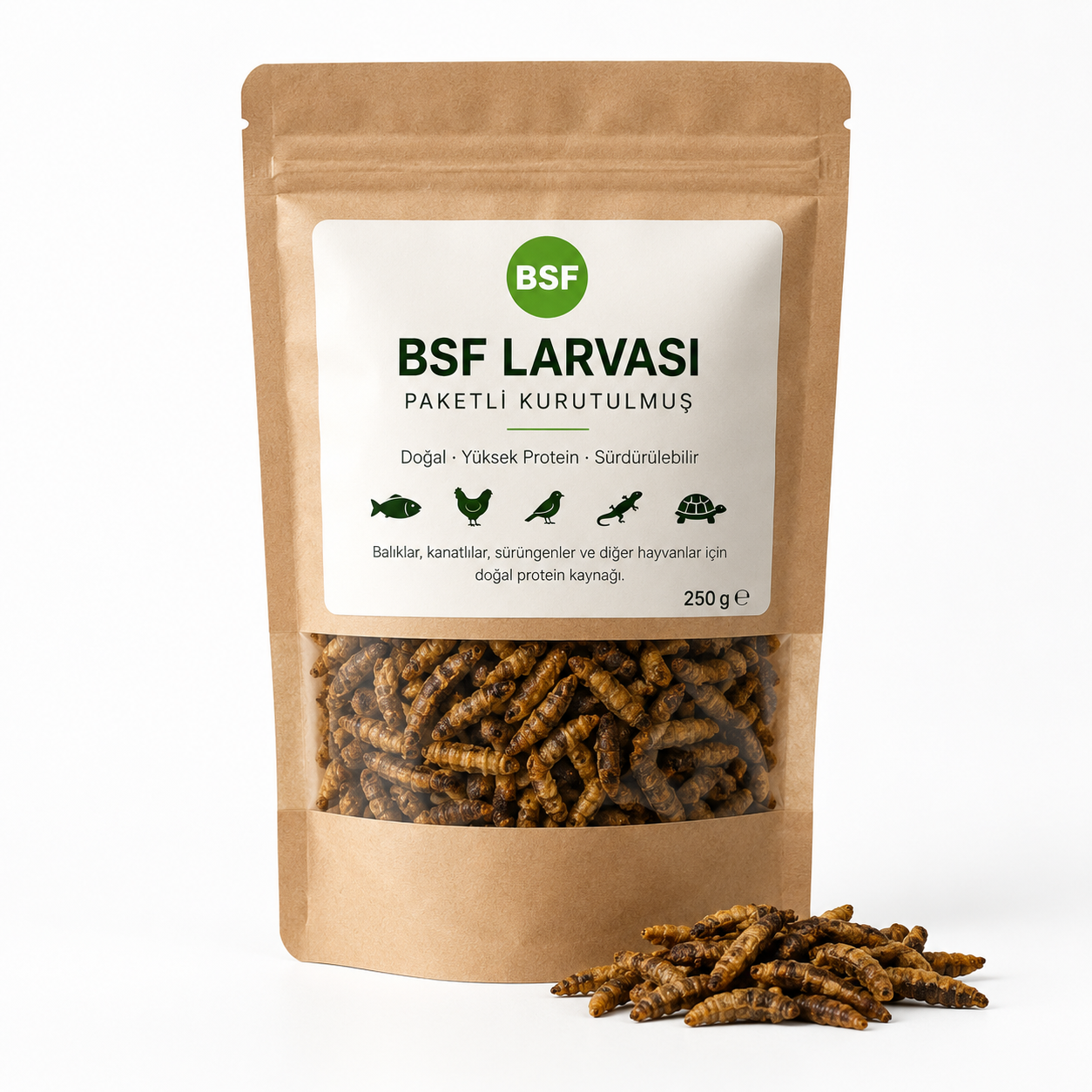 Kurutulmuş BSF Larvası